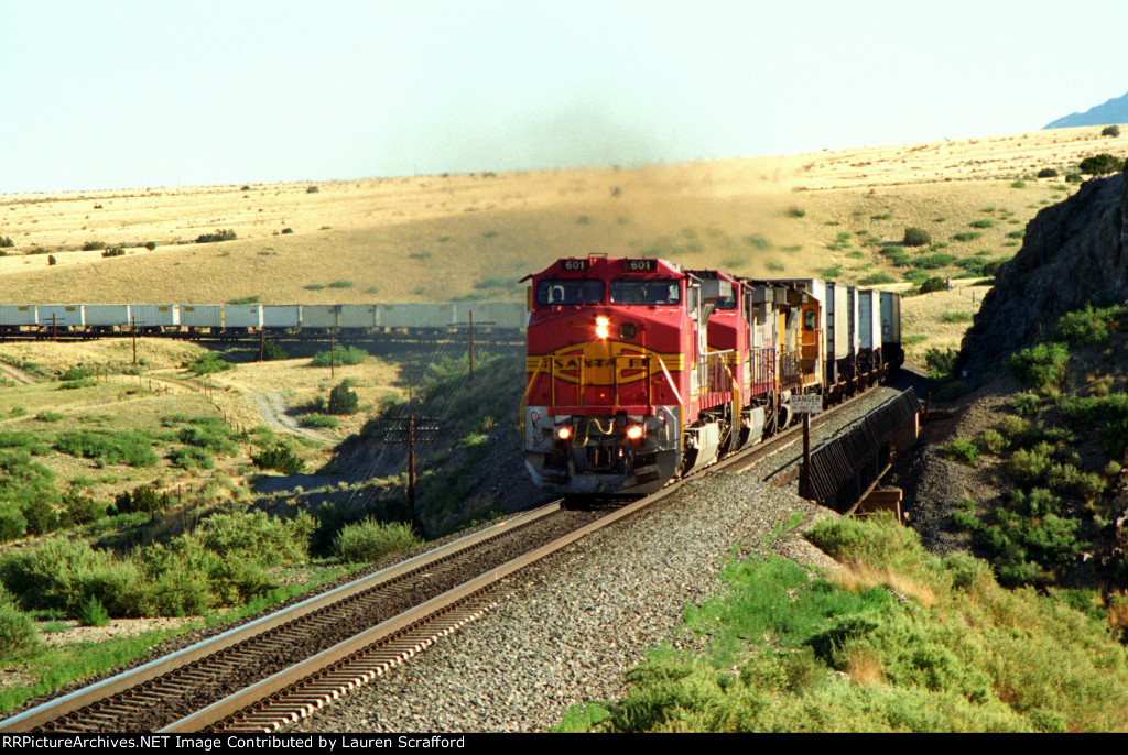 ATSF 601